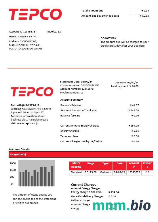 Japan Tokyo Electric Power Company electricity rachunek za usługi komunalne szablon w formacie Word i PDF